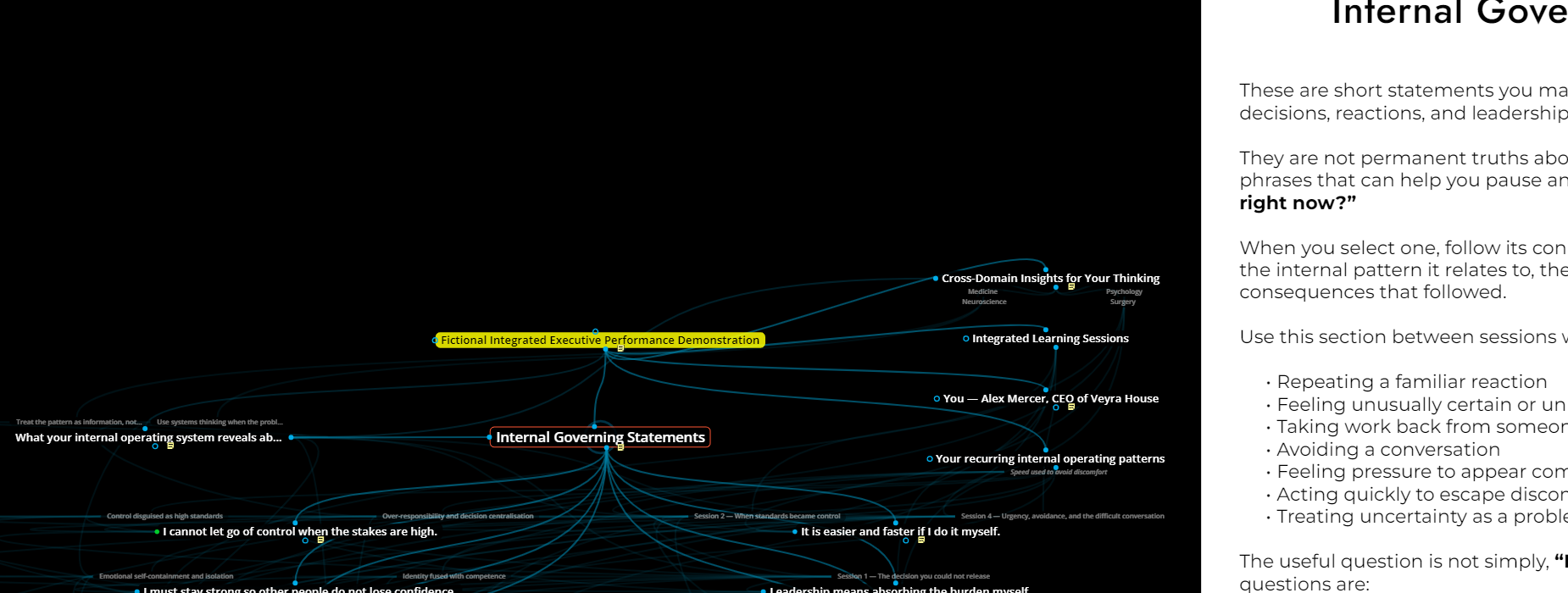 Illustrative example of an Executive BrainPrint map for a fictional client, showing connected insights across neuroscience, psychology, medicine and surgery